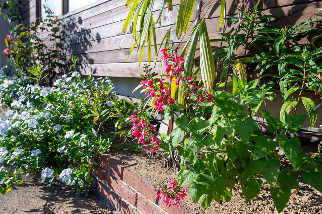 写真:さまざまな草木が咲くレンガづくりの花壇